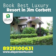 Luxury Resort in Jim Corbett